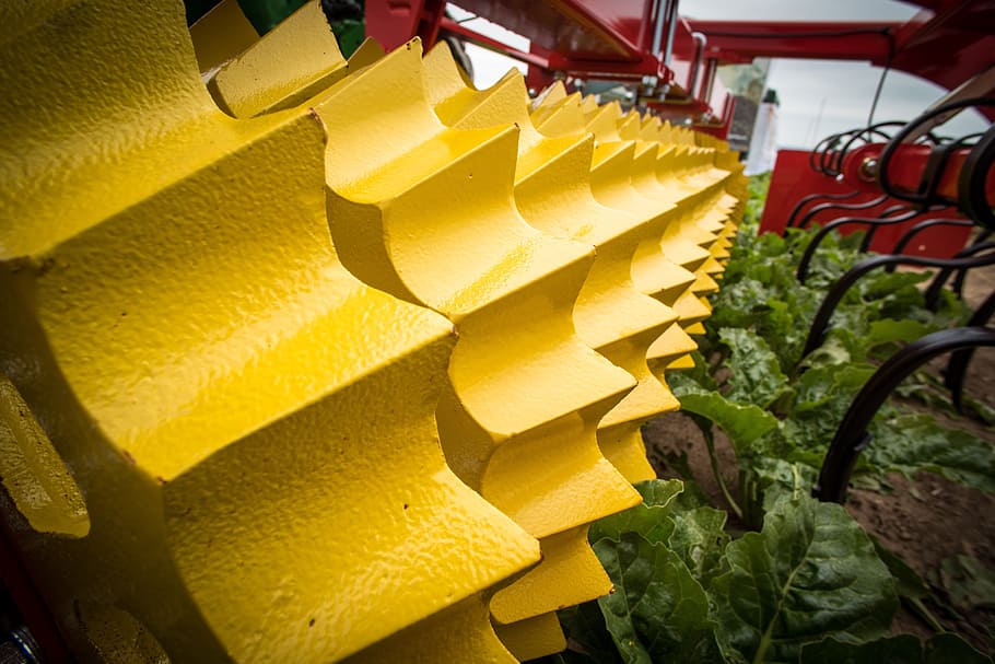 landtechnik, rodar, empacador, rodet empaquetador, rodet de polígon, conreu, agricultura, camp, tractor, màquina agrícola, cultivador, ordre de primavera, edició, preparació del llit de sembra, foto agro, economia de camp, sòl, remolcador, màquina de treball, groc, cap gent, dia, primer pla, frescor, a l'aire lliure, naturalesa, alimentació saludable, menjar, arquitectura, negocis, planta, estructura construïda, centrar-se en primer pla, abundància, gran grup d'objectes, menjar i beguda, fruita, 5K