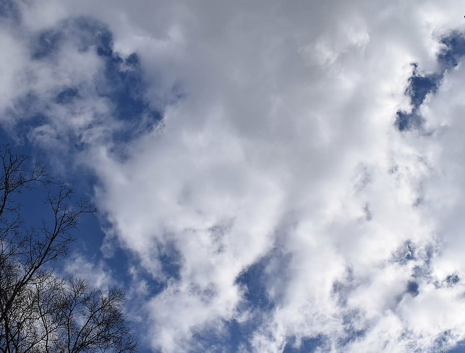 núvols bruscos, cel blau, núvols, paisatge, naturalesa, cloudscape, Wispy, blau, núvol - cel, temps, cel, a l'aire lliure, dia, fons, núvol, bellesa a la natura, vista d’angle baix, cap gent, escenics - natura, medi ambient, tranquil·litat, cel dramàtic, Color blanc, arbre, meteorologia, vent, directament a sota, clima, 4K
