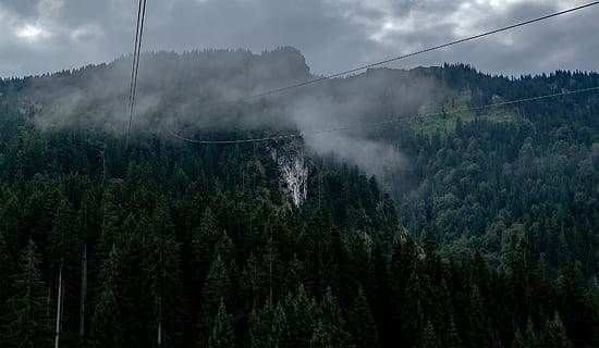jousikaapeli, ylitys, kaksi, mäki, valokuvaus, Puut, harmaa, pilvinen, taivas, jousitus, kaapeli, metsä, laakso, johdin, luonto, puu, vuori, maisema, scenics, ulkona, sumu, kasvu, ei ihmisiä, pilvi - taivas, kauneus luonnossa, kasvi, maa, maisemat - luonto, rauhallinen kohtaus, tyyneys, ei-kaupunkikuvia, päivä, vihreä väri, ympäristö, mänty, havupuu, mäntymetsät, 2K, CC0, public domain, rojaltivapaa