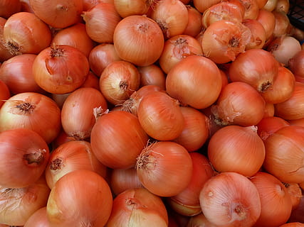 branco, lote de cebola, cebola, legumes, Concha, Castanho, Comida, comida e bebida, frescura, vegetal, bem-estar, Alimentação saudável, grande grupo de objetos, quadro completo, origens, abundância, mercado, ninguém, à venda, varejo, visão de alto ângulo, comida crua, monte, dia, fechar-se, ao ar livre, 4K, CC0, domínio público, royalty free