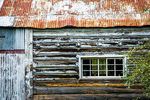zelená, listoval, strom, přední, dřevěný, struktura, fotografie, okenní dům, srub, architektura, stavba, exteriér budovy, okno, dřevo - materiál, budova, nikdo, starý, den, zvětralý, Dům, run-down, opuštěný, venku, poškozen, zastaralý, pokles, špatný stav, zhoršení, rezidenční čtvrti, 2K, CC0, veřejná doména, bez autorských práv
