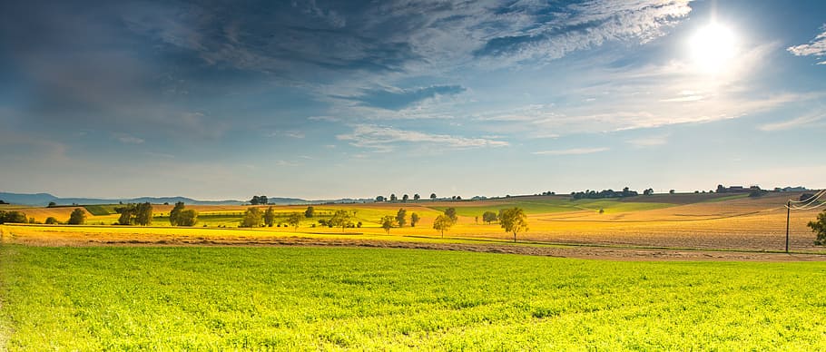 Zielony, pole, drzewa, niebieski, niebo, krajobraz, wiosna, pola, promień słońca, chmury, drzewo, łąka, lato, Natura, środowisko, wylądować, scena wiejska, rolnictwo, scenics - natura, chmura - niebo, roślina, piękno natury, żółty, światło słoneczne, horyzont nad ziemią, horyzont, spokój, spokojna scena, trawa, zielony kolor, żadnych ludzi, na dworze, toczący się krajobraz, 5K
