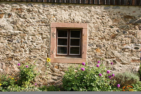 marró, beix, paret de pedra, finestra de vidre, façana, finestra, fons, paret, finestra antiga, edifici, hauswand, arquitectura, exterior de l'edifici, estructura construïda, flor, planta amb flors, planta, cap gent, funció de construcció de parets, dia, naturalesa, casa, a l'aire lliure, vell, creixement, barri residencial, sòlid, 4K, CC0, domini públic, lliure de regalies