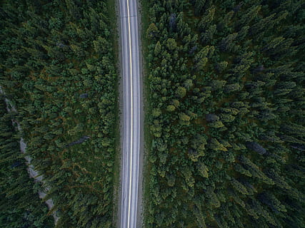Antenne, Fotografie ansehen, Zeitraffer-Autos, Straße, Bäume, grau, Asphaltstraße, umgeben, Grün, blätterte, Schuss, Wald, Autobahn, Baum, Natur, draußen, Landwirtschaft, Vollbild, keine Leute, Luftaufnahme, Wachstum, Pflanze, grüne Farbe, Land, Hintergründe, Schönheit in der Natur, Tag, Landschaft, Szenen - Natur, High Angle View, Ruhe, Feld, Umgebung, Plantage, 1080P, CC0, gemeinfrei, lizenzfrei