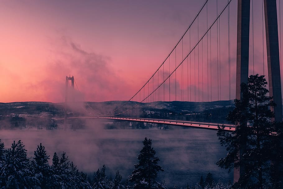 grau, Vollschwebebrücke Fotografie, tagsüber, Foto, golden, Brücke, Nebel, Bucht, Sonnenuntergang, Wolke, Hängebrücke, Rosa, Tapete, coole Hintergründe, Seebrücke, die Architektur, Struktur, gebaute Struktur, Verbindung, Himmel, Wasser, Baum, Brücke - künstliche Struktur, Dämmerung, Natur, wolke - himmel, Reiseziele, Transport, keine Leute, Pflanze, 4K