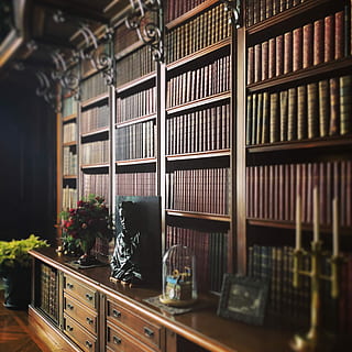 books, brown, bookshelf, tilt-shift photography, head bust, hutch, binding, read, candle, bookend, shelf, indoors, publication, no people, book, architecture, selective focus, plant, arrangement, potted plant, day, built structure, library, building, order, flower, large group of objects, window, 2K, CC0, public domain, royalty free