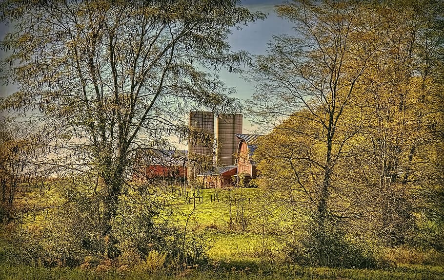 fienile, rustico, fienili, Ohio, arte digitale, rurale, panoramico, nazione, campagna, scenario, capannone, capannoni, azienda agricola, aziende agricole, agricoltura, agricolo, agriturismo, champagne, contea, americana, foto, fotografia, struttura, strutture, Sturgell, William Sturgell, Bill Sturgell, storico, Home decor, edifici, nuvole, cielo, albero, alberi, nuvoloso, cieli, erbacce, contea di champagne, urbana, pianta, natura, campo, giorno, architettura, esterno dell'edificio, terra, una persona, struttura costruita, albero nudo, crescita, persone reali, luce del sole, all'aperto, erba, stili di vita, in piedi, attività di svago, 5K