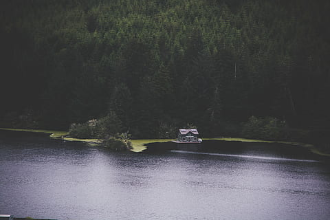 Strand, Tageslicht, Umgebung, Wald, Haus, Insel, Landschaft, Licht, Natur, draußen, szenisch, Meer, Reise, Bäume, Urlaub, Wasser, Baum, Pflanze, Ufergegend, Wasserfahrzeug, Transportmittel, Transport, See, Schönheit in der Natur, Szenen - Natur, Tag, echte Menschen, Ruhe, Land, Freizeitbeschäftigung, 5K, CC0, gemeinfrei, lizenzfrei