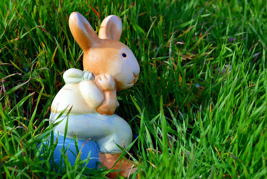 marró, blanc, blau, ceràmica, figureta de conill, verd, herba, durant el dia, llebre, conill de Pasqua, Pasqua, bonic, figura, targeta de felicitació, dekohase, prat, divertit, orella flexible, Festival, primavera, deco, decoració, dolç, cultures, ou de Pasqua, celebració, tradició, representació animal, vacances - esdeveniment, figureta, planta, conill - animal, representació, animal, naturalesa, cap gent, mamífer, camp, art i artesania, color verd, temes d'animals, terra, joguina, dia, a l'aire lliure, 4K
