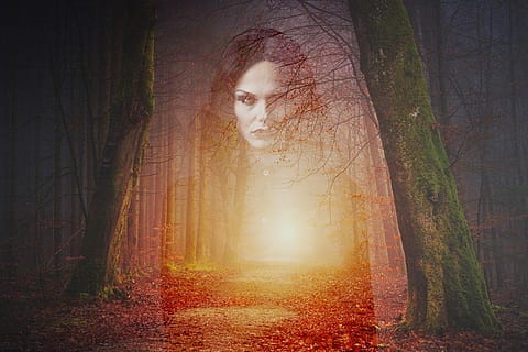 silhouette, woman, forest, ghost, gothic, horror, scary, fear, spooky, mystery, haunted, tree, land, plant, nature, woodland, tree trunk, trunk, fantasy, beauty in nature, tranquility, sunbeam, tranquil scene, fog, autumn, sunlight, digital composite, one person, outdoors, change, 5K, CC0, public domain, royalty free