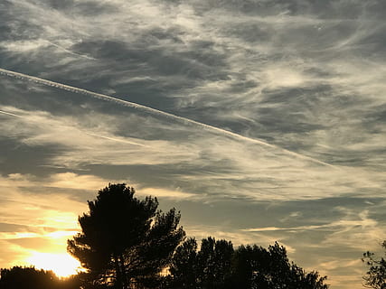 cloud, tree, sky, cloud - sky, plant, beauty in nature, low angle view, sunset, silhouette, scenics - nature, tranquility, nature, tranquil scene, vapor trail, no people, growth, idyllic, outdoors, non-urban scene, sunlight, treetop, 4K, CC0, public domain, royalty free