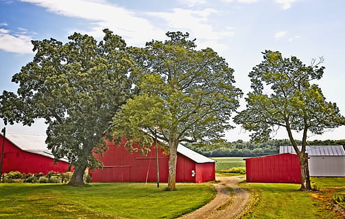 celeiro, rústico, celeiros, ohio, arte digital, rural, cênico, país, campo, cenário, galpão, galpões, Fazenda, fazendas, agricultura, agrícola, casa de fazenda, champaign, município, americana, foto, fotografia, estrutura, Estruturas, sturgell, William Sturgell, conta sturgell, histórico, decoração de casa, prédios, nuvens, céu, árvore, arvores, nublado, céus, ervas daninhas, condado de champaign, urbana, plantar, grama, arquitetura, estrutura construída, exterior do edifício, natureza, construção, casa, cor verde, crescimento, terra, dia, panorama, ninguém, nuvem - céu, vermelho, ao ar livre, 5K, CC0, domínio público, royalty free