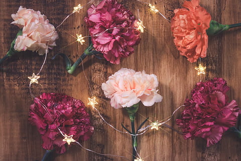 assorted, flower, brown, board, string lights, string, lights, bouquet, wood - Material, nature, pink Color, decoration, petal, rose - Flower, table, romance, red, plant, flower Head, illuminated, no people, purple, night, flowering plant, beauty in nature, vulnerability, freshness, fragility, close-up, indoors, inflorescence, directly above, flower arrangement, 1080P, CC0, public domain, royalty free