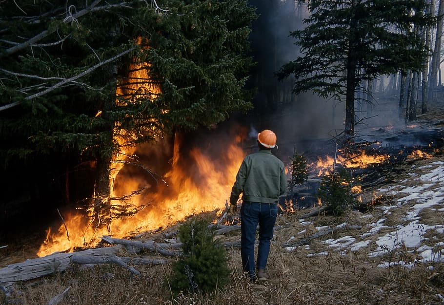 home, de peu, incendi forestal, durant el dia, incendis forestals, foc, flames, calenta, cremant, calor, perillós, ardent, desert, bosc, fum, cremada prescrita, raspall, controlat, servei forestal, treballador, brushfire, bomber, arbre, una persona, planta, homes, vista del darrere, naturalesa, foc - fenomen natural, terra, persones reals, flama, fum - estructura física, longitud completa, roba casual, calor - temperatura, bellesa a la natura, 1080P