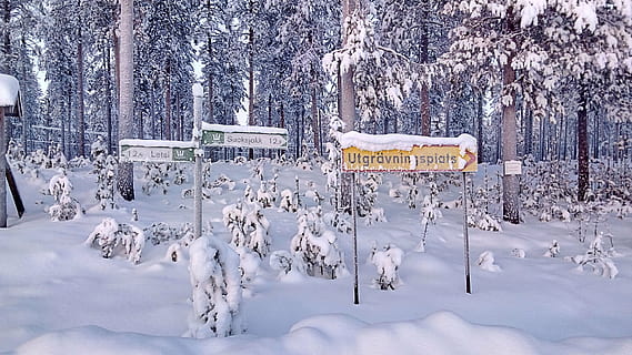 informator, śnieżny, zimowy, tarcza, Laponia, Szwecja, śnieg, zimna temperatura, drzewo, roślina, Natura, żadnych ludzi, las, piękno natury, spokojna scena, krajobraz, spokój, wylądować, dzień, środowisko, znak, scenics - natura, porozumiewanie się, na dworze, burza śnieżna, lesisty teren, ekstremalna pogoda, drzewo iglaste, sosna, 4K, CC0, domena publiczna, darmowe zdjęcia