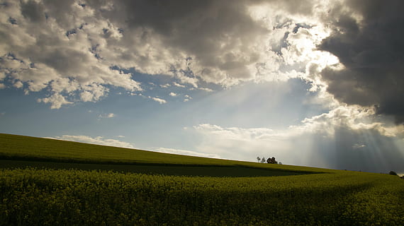 verd, herba, blau, ennuvolat, cels, núvols, posta de sol, bigues de cel, formen núvols, horitzó, camp, perspectiva, paisatge, solitari, atmosfèric, núvol - cel, cel, medi ambient, terra, planta, bellesa a la natura, escena rural, escenics - natura, naturalesa, agricultura, llum solar, escena no urbana, escena tranquil·la, tranquil·litat, color verd, horitzó sobre la terra, cap gent, primavera, a l'aire lliure, 4K, CC0, domini públic, lliure de regalies