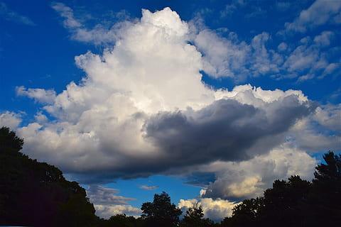 Wolke, Himmel, dramatisch, Sonnenuntergang, Himmel Wolken, Wolken des blauen Himmels, Blau, Natur, Wetter, Weiß, Licht, Luft, Tag, Sommer-, Wolkengebilde, draußen, Kumulus, flauschige, wolke - himmel, Schönheit in der Natur, Baum, Ruhe, Szenen - Natur, ruhige Szene, keine Leute, Pflanze, Flachwinkelansicht, idyllisch, Sonnenlicht, Hintergründe, Umgebung, Wachstum, Meteorologie, 4K, CC0, gemeinfrei, lizenzfrei