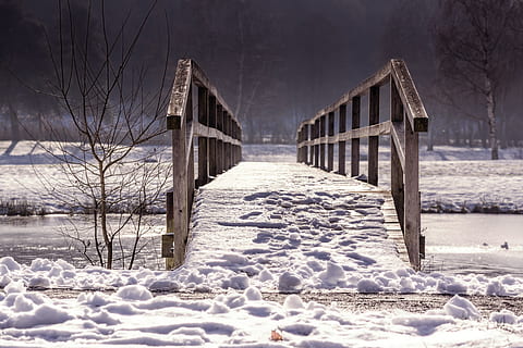 brown wooden bridge, away, bridge, web, railing, winter, nature, wood, transition, snow, cold temperature, covering, architecture, built structure, frozen, land, bare tree, tree, white color, no people, day, beauty in nature, building exterior, tranquility, scenics - nature, field, outdoors, snowing, 5K, CC0, public domain, royalty free