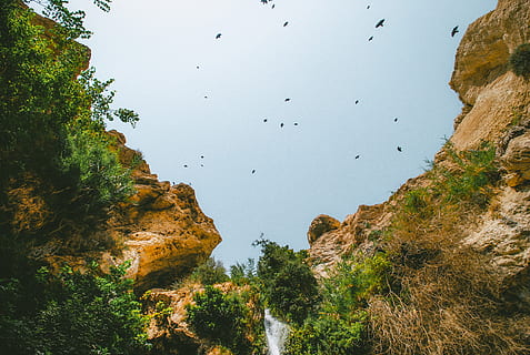 păsările în defileu, păsări, chei, natură, peisaj, în aer liber, Munte, scenics, obiect de rocă, vară, apă, stâncă, albastru, cer, frumusețe în natură, pădure, copac, zbor, la mijlocul-aer, nici o persoana, plantă, animale tematice, animale sălbatice, animal, pasăre, animale vertebrate, animale în sălbăticie, vedere unghiulară joasă, zi, formatie rock, scenice - natura, grup de animale, stol de păsări, formare, 4K, CC0, domeniu public, fără drepturi de autor