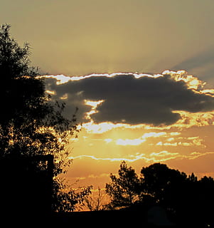 sunset, clouds, dark, edge, gilt, sky, orange-gold, glow, trees, cloud - sky, silhouette, tree, beauty in nature, scenics - nature, plant, tranquil scene, tranquility, nature, no people, landscape, environment, orange color, outdoors, idyllic, sunlight, non-urban scene, dramatic sky, bright, 2K, CC0, public domain, royalty free