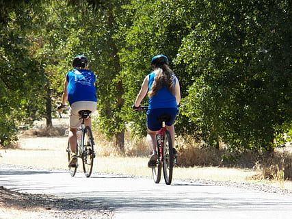 cycling, bikes, path, pathway, journey, outdoor, tree, pavement, bicycle, transportation, plant, real people, leisure activity, lifestyles, full length, two people, togetherness, ride, road, day, riding, nature, casual clothing, sport, land vehicle, men, women, outdoors, 4K, CC0, public domain, royalty free