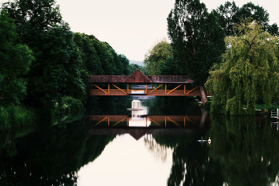 águas, árvore, lago, reflexão, rio, madeira, ponte, natureza, parque, panorama, verde, plantar, agua, arquitetura, estrutura construída, beira-mar, ninguém, céu, dia, tranquilidade, crescimento, exterior do edifício, conexão, ao ar livre, gazebo, cena tranquila, santuário, 5K