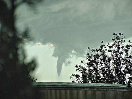 silhuett, träd, molnig, himmel, tornado, tratt moln, mörk himmel, natur, utomhus, växt, moln - himmel, dag, förorening, skönhet i naturen, miljö, inget folk, emitterande, rök - fysisk struktur, luftförorening, rök, miljöfrågor, tillväxt, fabrik, vatten, 1080P, CC0, offentligt domän, royaltyfria