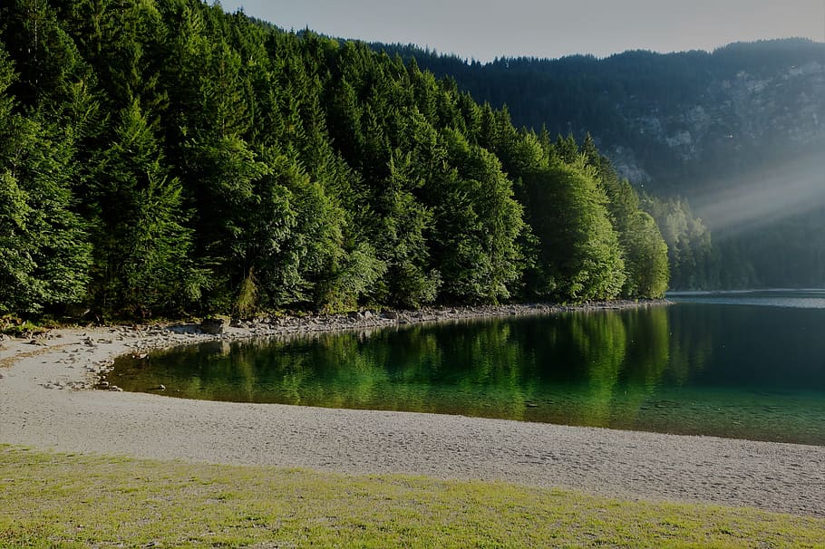 eibsee, abendstimmung, platja, bosc, llac de muntanya, posta de sol, aigua, grainau, baviera, humor, paisatge, reflexió de l’aigua, aigües, llum de fons, cegament, arbre, planta, bellesa a la natura, escenics - natura, tranquil·litat, escena tranquil·la, color verd, llac, escena no urbana, creixement, idíl·lic, cap gent, naturalesa, dia, terra, exuberant fullatge, a l'aire lliure, arbre de coníferes, 5K