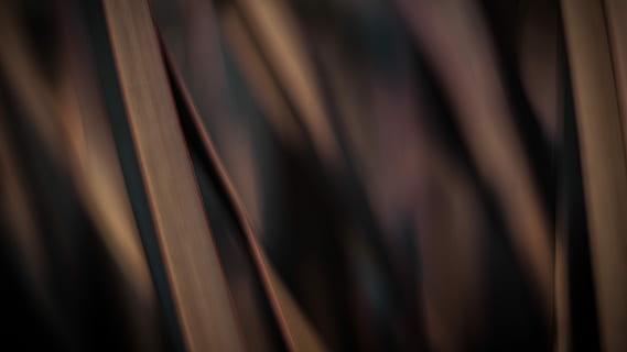 hnědá textilie, rostlina, abstraktní, řádek, vzor, textura, barva, strom, list, krémová, sen, zelená, nachový, Příroda, lesk, hladký, detail, odraz, uvnitř, selektivní zaměření, pozadí, nikdo, celý rám, krása, umělecká kultura a zábava, křivka, hnědý, tvar, materiál, studio shot, Černá barva, dekorace, závěsný, tvořivost, měkkost, čistý, 5K, CC0, veřejná doména, bez autorských práv