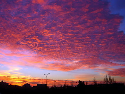 madrid, daggry, skyer, himmel, lys, tapet, kontrast, output del sol, Sky, solnedgang, silhuet, sky - himmel, orange farve, skønhed i naturen, natur, scenics - natur, ingen mennesker, træ, arkitektur, ro, rolig scene, plante, bygget struktur, udendørs, gadebelysning, dramatisk himmel, idyllisk, gade, romantisk himmel, 1080P, CC0, offentligt domæne, royaltyfrie