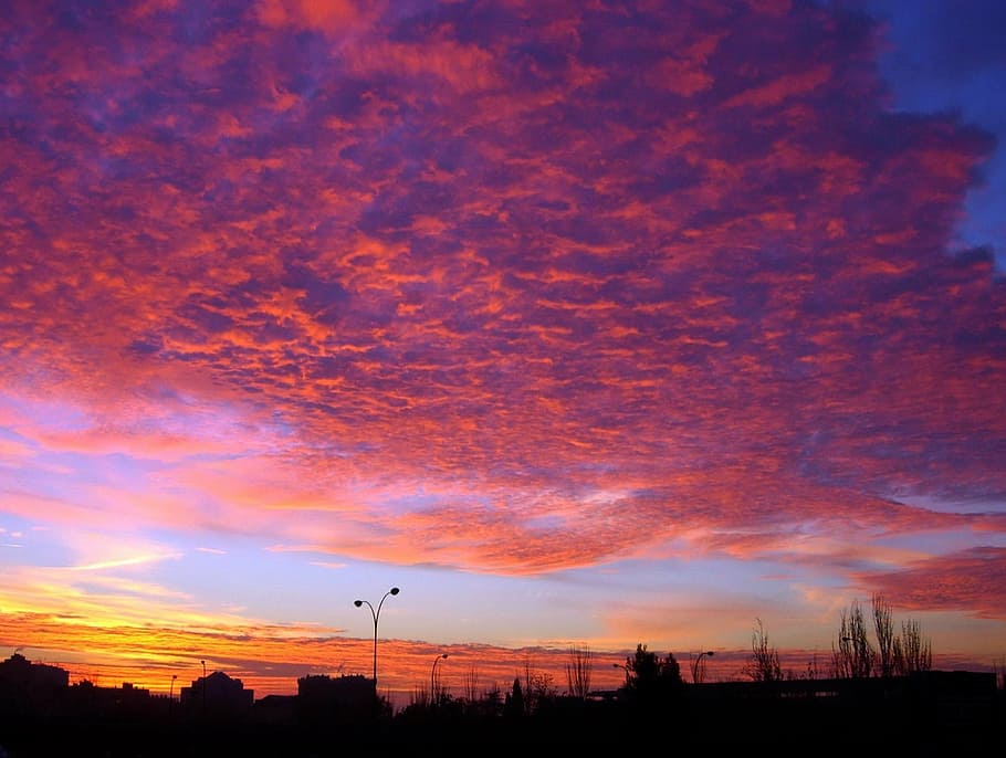 madrid, daggry, skyer, himmel, lys, tapet, kontrast, output del sol, Sky, solnedgang, silhuet, sky - himmel, orange farve, skønhed i naturen, natur, scenics - natur, ingen mennesker, træ, arkitektur, ro, rolig scene, plante, bygget struktur, udendørs, gadebelysning, dramatisk himmel, idyllisk, gade, romantisk himmel, 1080P