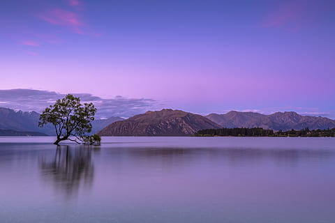 tree, body, water, mountains, green, middle, mountain view, green tree, lake, nature, landscape, mountain, scenics, reflection, sky, sunset, tranquil Scene, outdoors, blue, beauty In Nature, dusk, no People, forest, mountain Range, night, scenics - nature, tranquility, environment, sea, travel destinations, twilight, purple, 5K, CC0, public domain, royalty free