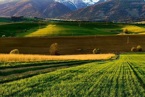 Berge, Felder, Feld, Wiese, Pfad, Natur, Land, Ansichten, Gras, Raps, west, Sonnenuntergang, Panorama, Slowakei, Liptov, Bäume, Landschaft, Umgebung, ländliche Szene, Szenen - Natur, ruhige Szene, Landwirtschaft, Pflanze, Schönheit in der Natur, Ruhe, Bauernhof, grüne Farbe, Wachstum, keine Leute, idyllisch, Nicht-städtische Szene, Berg, draußen, hügelige Landschaft, 5K, CC0, gemeinfrei, lizenzfrei