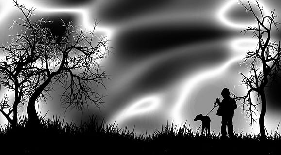 albero, erba, bianca, belle Arti, nero, silhouette, notte, orrore, spaventoso, persone, due persone, albero nudo, natura, uomini, pianta, adulto, mammifero, campo, terra, maschi, in piedi, ramo, lunghezza intera, all'aperto, 4K, CC0, dominio pubblico, privo di copyright