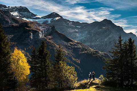 Due, persona, in piedi, scogliera, accanto, alberi, prospiciente, montagna, coperto, la neve, natura, paesaggio, Paesaggi, catena montuosa, all'aperto, albero, picco di montagna, montagne Rocciose, foresta, bellezza nella natura, cielo, nessuno, immagine a colori, terreno estremo, Alberta, giorno, scenics - natura, pianta, scena tranquilla, la tranquillità, nuvola - cielo, ambiente, idilliaco, scena non urbana, terra, autunno, crescita, formazione, 4K, CC0, dominio pubblico, privo di copyright