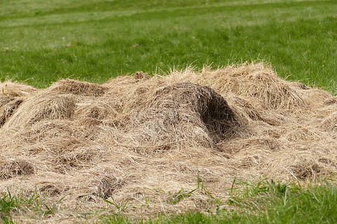 haystack, meadow, hay, pile, pet food, romantic, alpine meadows, plant, grass, field, bale, day, nature, land, agriculture, landscape, farm, rural scene, no people, outdoors, straw, environment, growth, focus on foreground, crop, brown, 5K, CC0, public domain, royalty free
