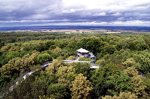 Baumkronenpfad, Thüringen Deutschland, Wipfel, Bäume, Wald, Aussichtsturm, Plattform, wolke - himmel, Pflanze, Baum, Himmel, die Architektur, Schönheit in der Natur, Gebäudehülle, Natur, Wachstum, gebaute Struktur, Szenen - Natur, High Angle View, Wasser, Tag, Gebäude, Meer, Umgebung, keine Leute, draußen, 4K, CC0, gemeinfrei, lizenzfrei