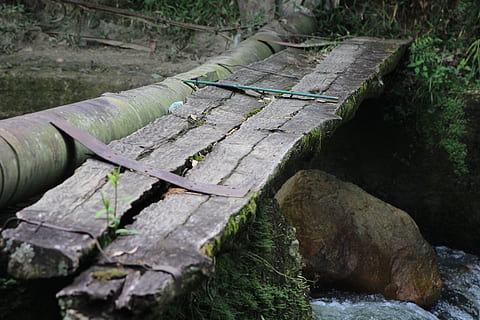 bro, väg, bro över floden, trämaterial, inget folk, natur, växt, dag, mossa, vatten, högvinkelvy, sten, träd, fast, utomhus, rock-objekt, grön färg, skog, lugn, gångstig, landa, logga, 5K, CC0, offentligt domän, royaltyfria