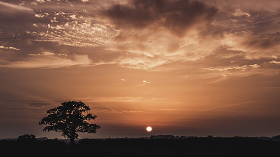 pintura do sol, árvore da silhueta, por do sol, Dom, céu, árvore, silhueta de árvore, nuvem, nascer do sol, temporada, aquecimento, tranquilo, viagem, cor, beleza, panorama, exterior, nuvem - céu, beleza na natureza, tranquilidade, meio Ambiente, plantar, cena tranquila, scenics - natureza, natureza, silhueta, céu dramático, cloudscape, lua, ninguém, ao ar livre, Sombrio, céu romântico, brilhante, 5K, CC0, domínio público, royalty free