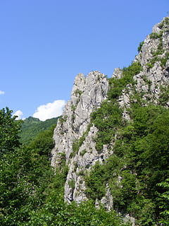 Černá, godeanu, munți, Retezatul, drum, Godeanu, munţi, călătorie, vale, natură, copac, Culoarea verde, plantă, Munte, zi, cer, frumusețe în natură, creştere, liniște, nici o persoana, vedere unghiulară joasă, o scenă liniștită, scenice - natura, teren, cer senin, în aer liber, scenă non-urbană, albastru, stâncă, 2K, CC0, domeniu public, fără drepturi de autor