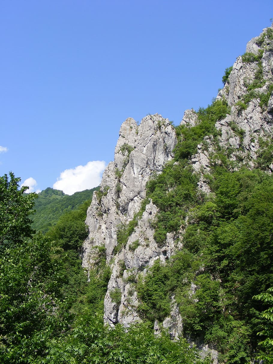 černá, godeanu, muntanyes, retezat, carretera, godeanu, muntanyes, viatjar, vall, naturalesa, arbre, color verd, planta, muntanya, dia, cel, bellesa a la natura, creixement, tranquil·litat, cap gent, vista d’angle baix, escena tranquil·la, escenics - natura, terra, cel clar, a l'aire lliure, escena no urbana, blau, rock, 2K