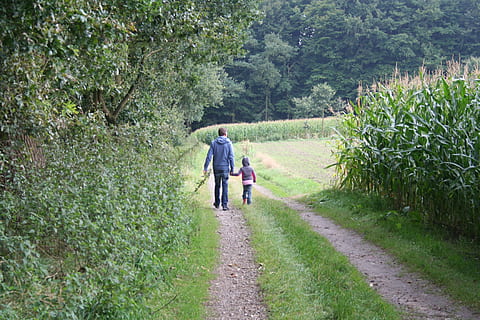 marche, père, une façon, courir, randonnée, Humain, loisir, communauté, plus, famille, chemin forestier, ensemble, aller se promener, sentier de la nature, plante, vue arrière, en marchant, croissance, couleur verte, arbre, Vrais gens, toute la longueur, Activité de loisir, modes de vie, la nature, la voie à suivre, beauté dans la nature, journée, femmes, direction, sentier, deux personnes, adulte, unité, en plein air, 2K, CC0, domaine public, libre de droits