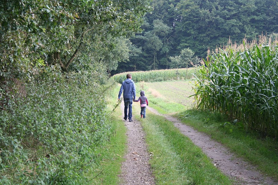 caminar, pare, lluny, correr, senderisme, humà, oci, comunitat, més, família, camí forestal, junts, anar a passejar, sender natural, planta, vista del darrere, creixement, color verd, arbre, persones reals, longitud completa, activitat d'oci, estils de vida, naturalesa, el camí a seguir, bellesa a la natura, dia, dones, direcció, sendera, dues persones, adult, unió, a l'aire lliure, 2K