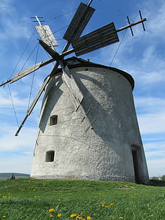 mill, windmill, throughout the windmill, wind turbine, wind power, renewable energy, turbine, environmental conservation, alternative energy, fuel and power generation, sky, traditional windmill, nature, environment, rural scene, plant, field, landscape, land, day, built structure, architecture, no people, blade, outdoors, 4K, CC0, public domain, royalty free