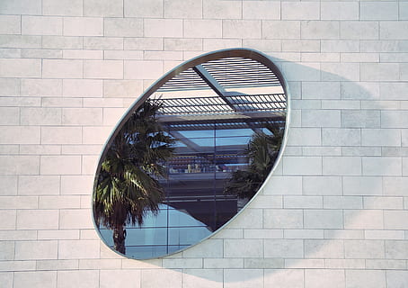 ovale, specchio, bianca, via dei mattoni, foto, Due, verde, palme, telaio, grigio, muro di mattoni, giorno, costruzione, Palma, finestra, riflessione, parete, architettura, architettura ed edifici, vetro - materiale, struttura costruita, esterno dell'edificio, caratteristica della parete, all'aperto, moderno, attività commerciale, nessuno, forma, natura, forma geometrica, modello, mattone, design, cerchio, pavimentazione, piastrella, pavimento piastrellato, 4K, CC0, dominio pubblico, privo di copyright