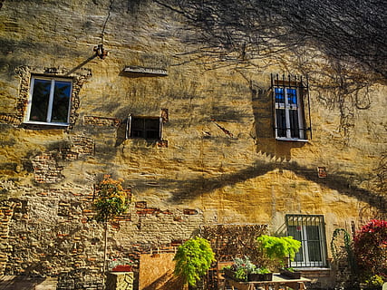 architektura, struktura, zeď, stará budova, bratislava, albrechtov dom, historické budovy, okno, Dům, starý, Evropa, exteriér budovy, fasáda, ulice, nástěnný prvek, venku, město, bytového domu, Dějiny, stavba, budova, rezidenční čtvrti, strom, rostlina, den, Příroda, nikdo, nízký úhel pohledu, slunečního světla, vesnice, 2K, CC0, veřejná doména, bez autorských práv