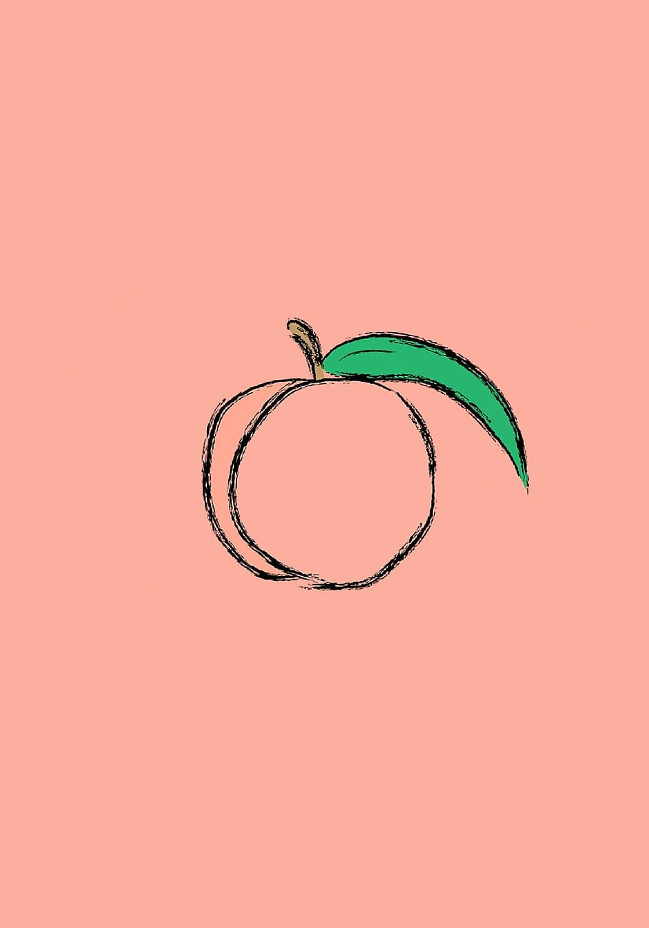 pescar, Rosa, full, alguna cosa, fer-ho, repugne, just, etiquetes, blblbl, tir de l'estudi, còpia espai, a l'interior, cap gent, fons de colors, primer pla, tallar, natura morta, sol objecte, color verd, vermell, color taronja, taula, naturalesa, disseny, fons vermell, dos objectes, forma, part de la planta, fons taronja, 1080P