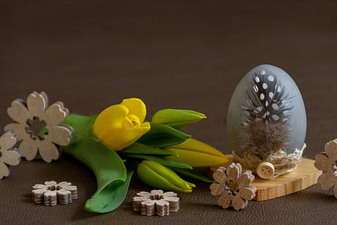 kuning, bunga, teratas, coklat, permukaan, kayu, dekorasi potongan bunga, Paskah, telur Paskah, telur, bunga tulp, bunga kayu, menanam, dekorasi, musim semi, tanaman berbunga, dalam ruangan, tembakan studio, kesegaran, tidak ada orang, alam, masih hidup, merapatkan, keindahan di alam, makanan, menyalin ruang, bahan kayu, makanan dan minuman, daun bunga, kesejahteraan, perayaan, buket, perhiasan mutiara, merangkai bunga, kepala bunga, 5K, CC0, domain publik, bebas royalti