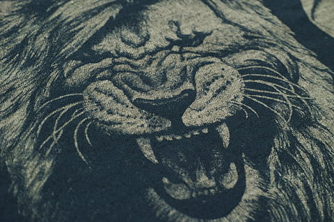 al, Stoff, Muster, Textil-, Kleidung, Mode, kopieren sie platz, Weberei, abstrakt, Detail, horizontal, niemand, Baumwolle, Design, Textur, abstraktes Muster, lebendige Farbe, wolle, Hintergründe, Makro, selektiver Fokus, Weichheit, kasachisch, keine Leute, alt, Hintergrund, Abdeckung, gemalt, Nahansicht, weich, Farbbild, schließen, wunderschönen, Garn, Fotografie, Studio, Modell-, Foto, Stil, Kreativität, Kunst und Handwerk, Sand, High Angle View, Vollbild, Tag, Land, Natur, drinnen, Strand, Sonnenlicht, texturiert, 8K, CC0, gemeinfrei, lizenzfrei