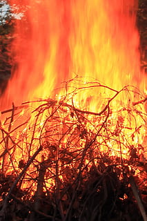 ild, flamme, brænde, log, ild, flamme, flamme pejs, varme - temperatur, brænding, røg - fysisk struktur, skovbrand, fare, orange farve, brand - naturligt fænomen, natur, glødende, ingen mennesker, træ, jord, plante, udendørs, bevægelse, bål, Skov, miljø, tæt på, lejrbål, forurening, 2K, CC0, offentligt domæne, royaltyfrie